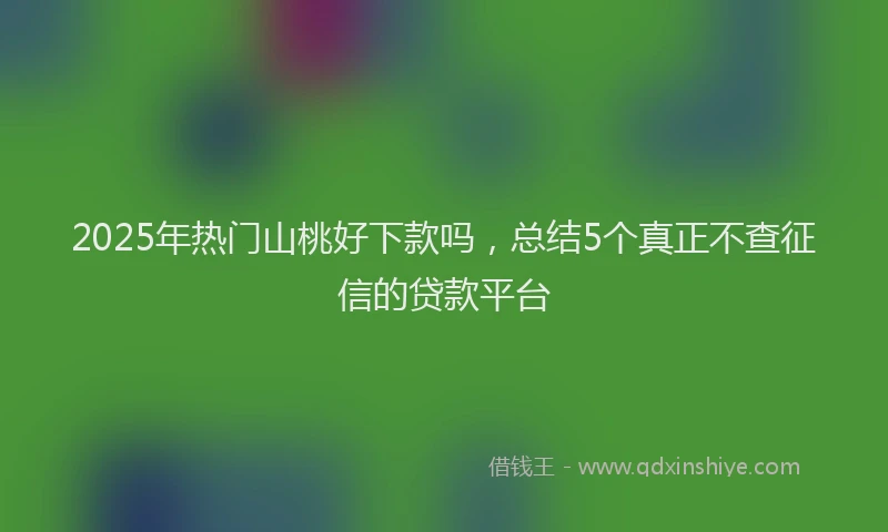 2025年热门山桃好下款吗，总结5个真正不查征信的贷款平台