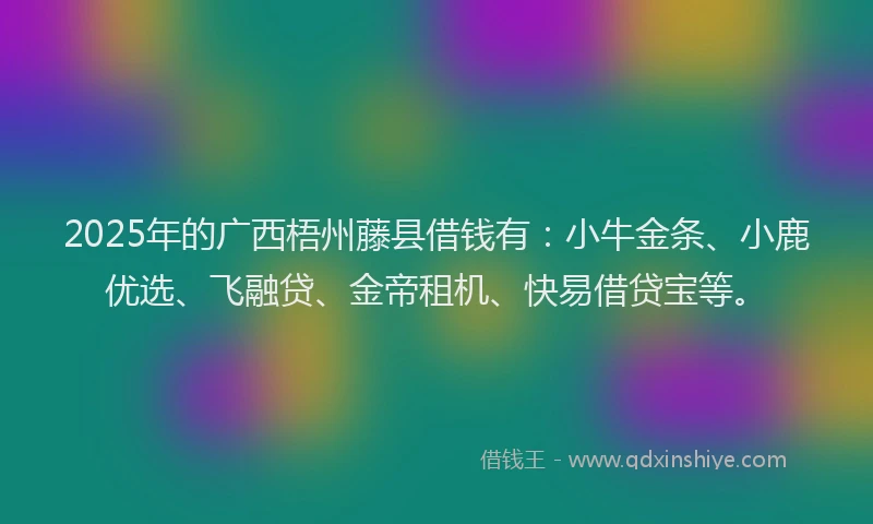 2025年的广西梧州藤县借钱有：小牛金条、小鹿优选、飞融贷、金帝租机、快易借贷宝等。