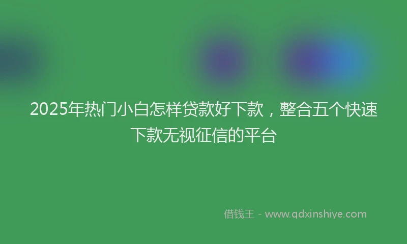 2025年热门小白怎样贷款好下款，整合五个快速下款无视征信的平台