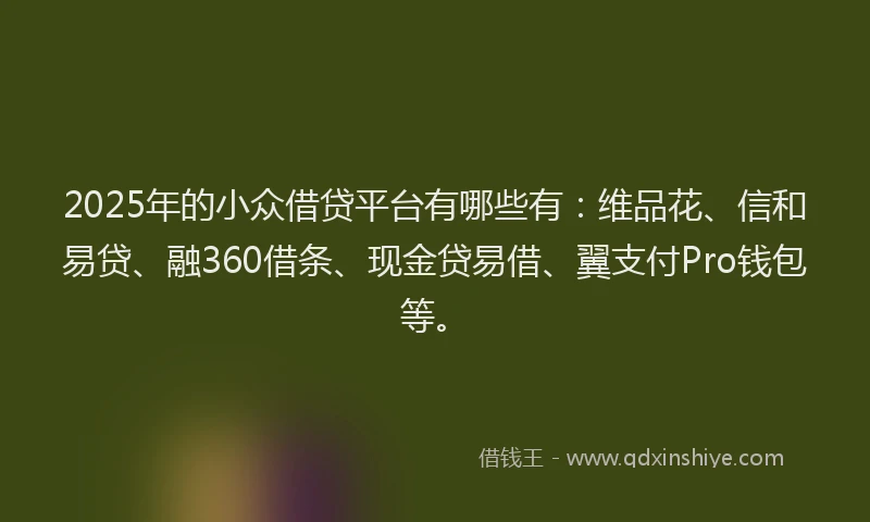 2025年的小众借贷平台有哪些有：维品花、信和易贷、融360借条、现金贷易借、翼支付Pro钱包等。