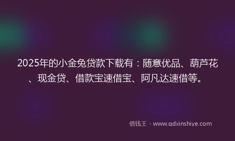 2025年的小金兔贷款下载有：随意优品、葫芦花、现金贷、借款宝速借宝、阿凡达速借等。