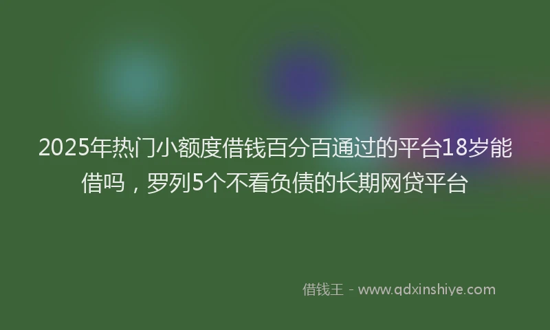 2025年热门小额度借钱百分百通过的平台18岁能借吗，罗列5个不看负债的长期网贷平台