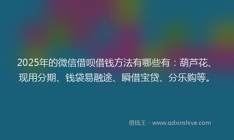 2025年的微信借呗借钱方法有哪些有：葫芦花、现用分期、钱袋易融途、瞬借宝贷、分乐购等。