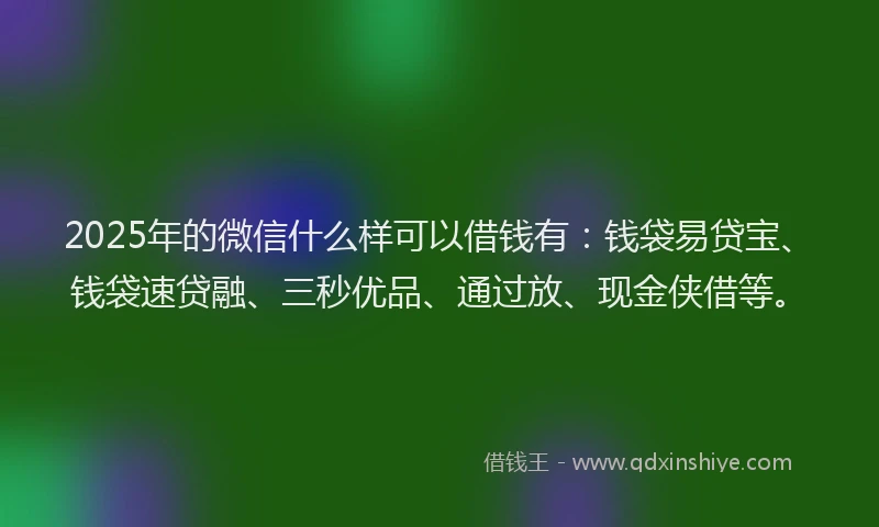 2025年的微信什么样可以借钱有：钱袋易贷宝、钱袋速贷融、三秒优品、通过放、现金侠借等。