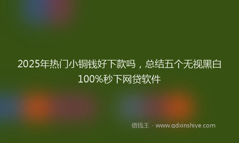 2025年热门小铜钱好下款吗，总结五个无视黑白100%秒下网贷软件