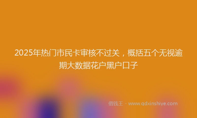 2025年热门市民卡审核不过关，概括五个无视逾期大数据花户黑户口子