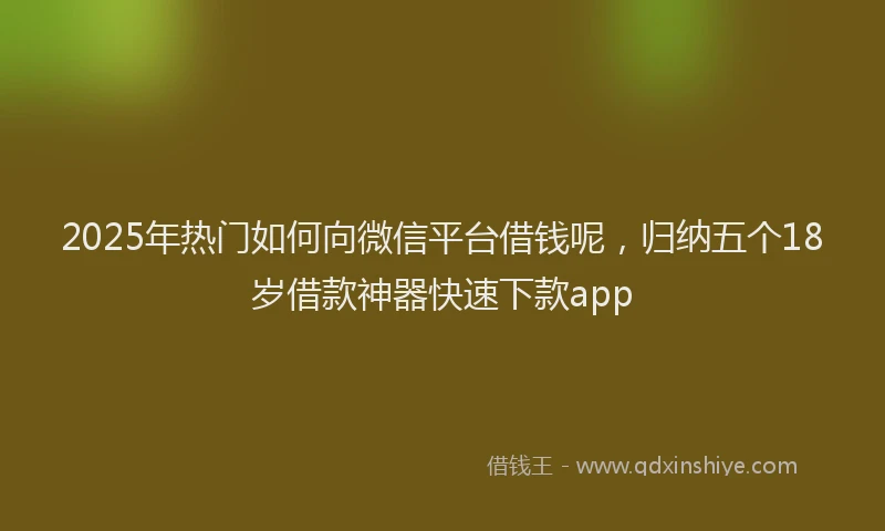 2025年热门如何向微信平台借钱呢，归纳五个18岁借款神器快速下款app
