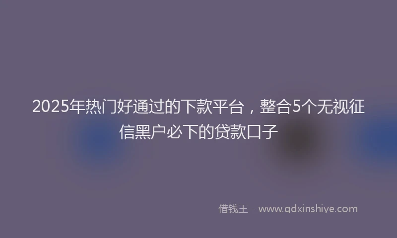 2025年热门好通过的下款平台，整合5个无视征信黑户必下的贷款口子