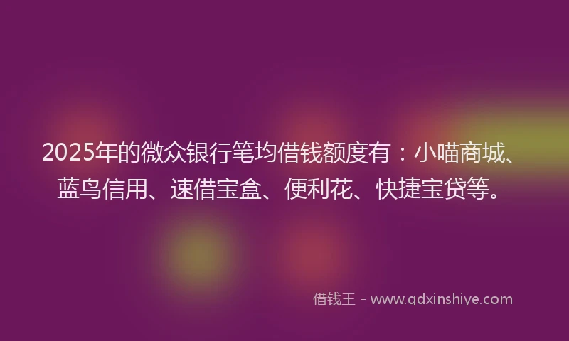 2025年的微众银行笔均借钱额度有：小喵商城、蓝鸟信用、速借宝盒、便利花、快捷宝贷等。