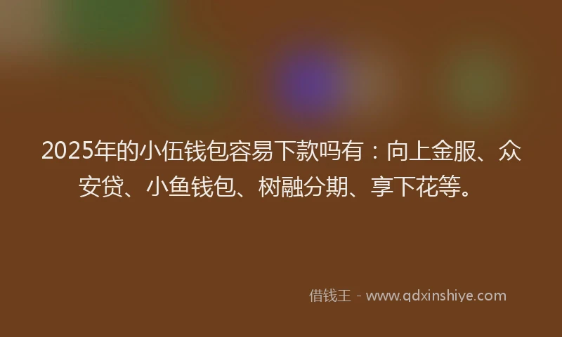 2025年的小伍钱包容易下款吗有：向上金服、众安贷、小鱼钱包、树融分期、享下花等。