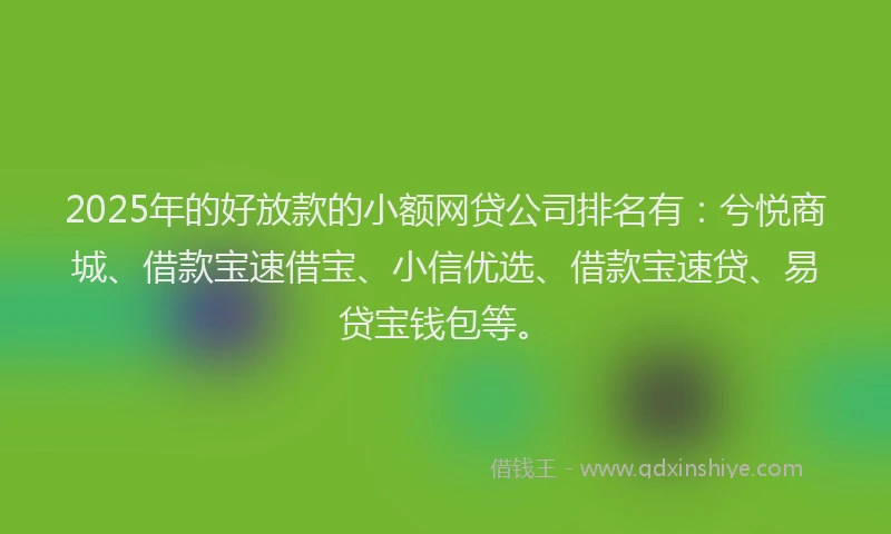 2025年的好放款的小额网贷公司排名有：兮悦商城、借款宝速借宝、小信优选、借款宝速贷、易贷宝钱包等。