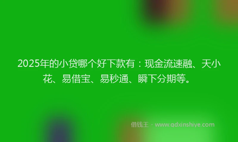 2025年的小贷哪个好下款有：现金流速融、天小花、易借宝、易秒通、瞬下分期等。