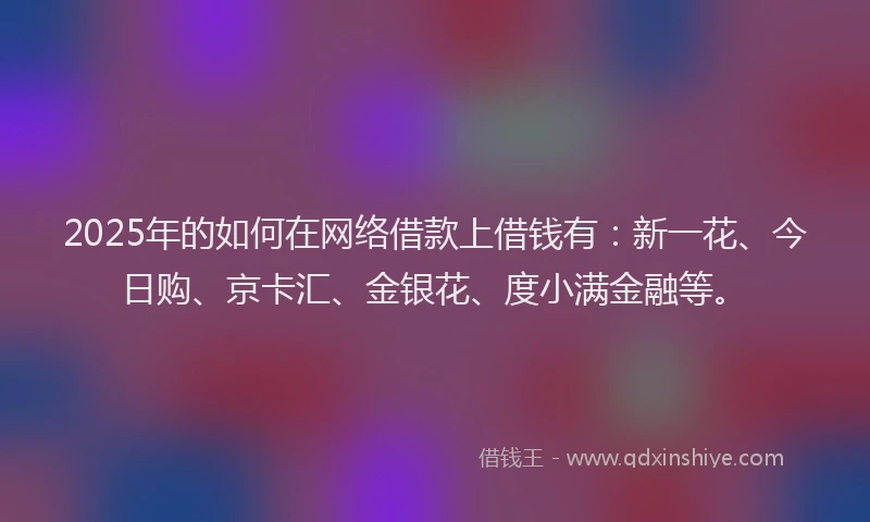 2025年的如何在网络借款上借钱有：新一花、今日购、京卡汇、金银花、度小满金融等。