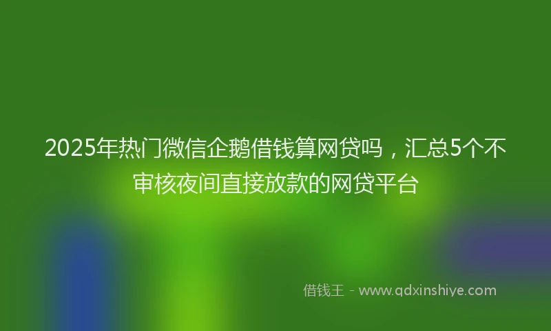 2025年热门微信企鹅借钱算网贷吗，汇总5个不审核夜间直接放款的网贷平台