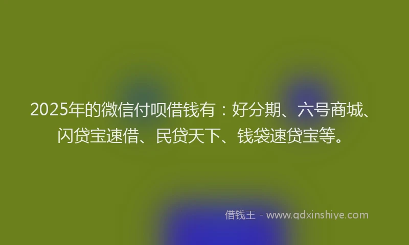 2025年的微信付呗借钱有：好分期、六号商城、闪贷宝速借、民贷天下、钱袋速贷宝等。
