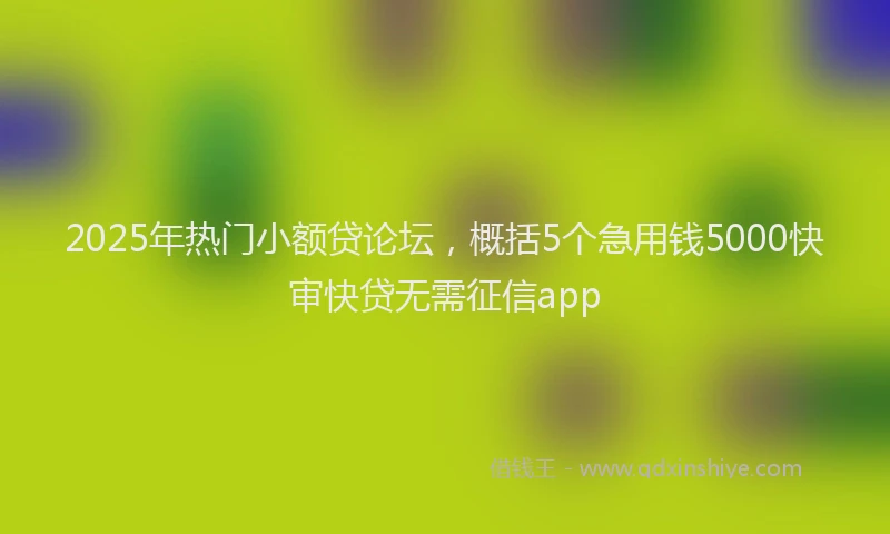 2025年热门小额贷论坛，概括5个急用钱5000快审快贷无需征信app