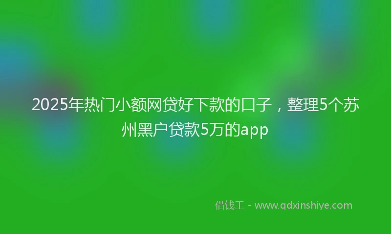2025年热门小额网贷好下款的口子，整理5个苏州黑户贷款5万的app