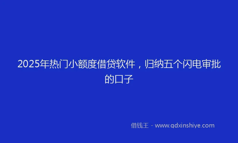 2025年热门小额度借贷软件，归纳五个闪电审批的口子