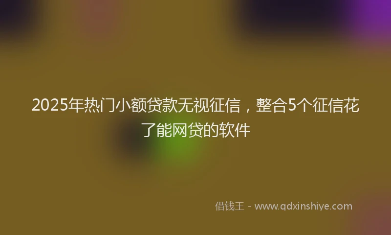 2025年热门小额贷款无视征信，整合5个征信花了能网贷的软件