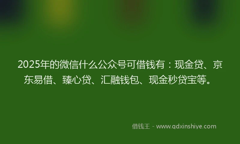 2025年的微信什么公众号可借钱有：现金贷、京东易借、臻心贷、汇融钱包、现金秒贷宝等。