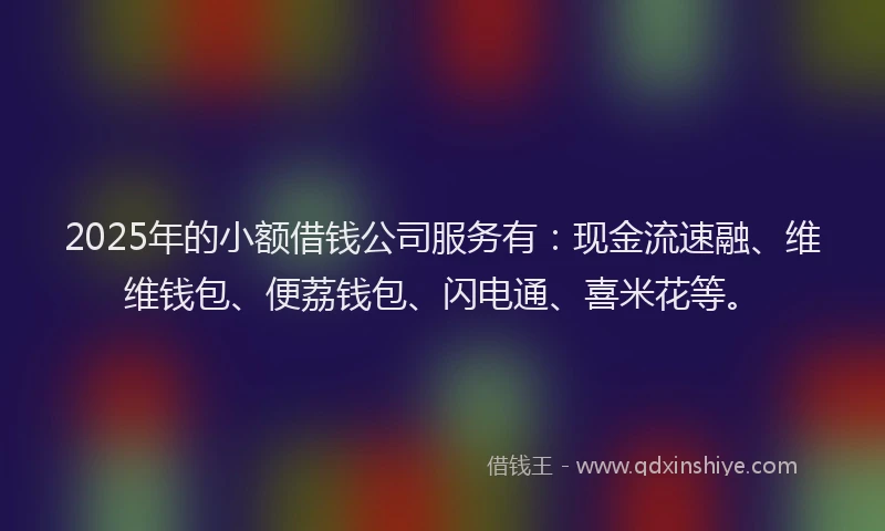 2025年的小额借钱公司服务有：现金流速融、维维钱包、便荔钱包、闪电通、喜米花等。