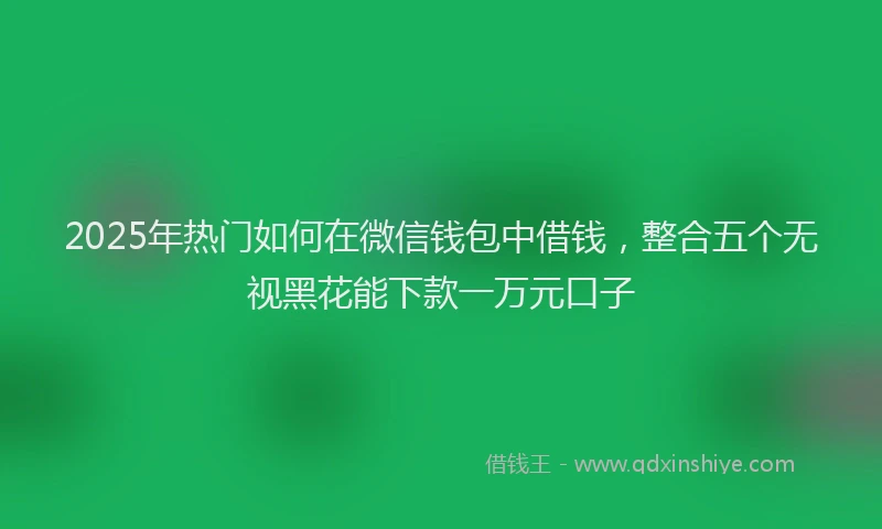 2025年热门如何在微信钱包中借钱，整合五个无视黑花能下款一万元口子