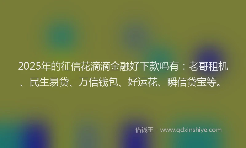 2025年的征信花滴滴金融好下款吗有：老哥租机、民生易贷、万信钱包、好运花、瞬信贷宝等。