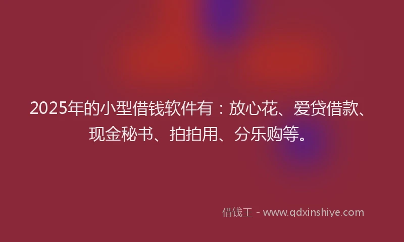 2025年的小型借钱软件有：放心花、爱贷借款、现金秘书、拍拍用、分乐购等。
