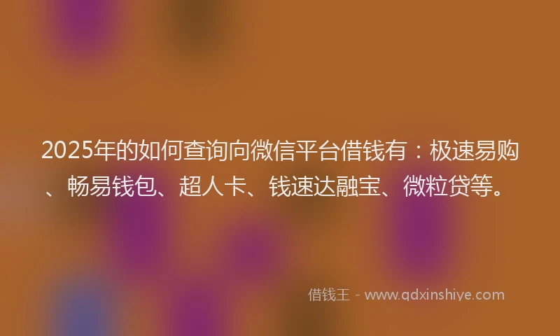 2025年的如何查询向微信平台借钱有：极速易购、畅易钱包、超人卡、钱速达融宝、微粒贷等。