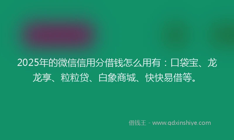 2025年的微信信用分借钱怎么用有:口袋宝、龙龙享、粒粒贷、白象商城、快快易借等。
