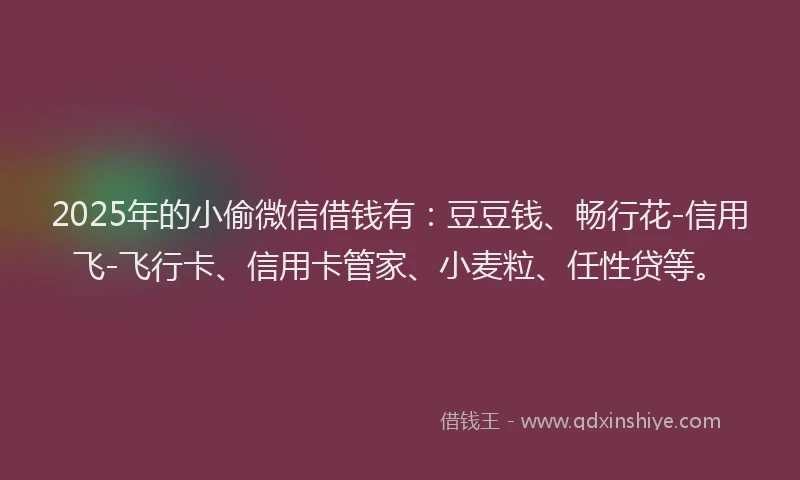 2025年的小偷微信借钱有：豆豆钱、畅行花-信用飞-飞行卡、信用卡管家、小麦粒、任性贷等。