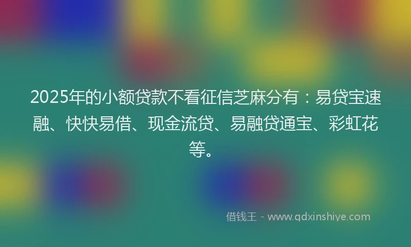 2025年的小额贷款不看征信芝麻分有：易贷宝速融、快快易借、现金流贷、易融贷通宝、彩虹花等。