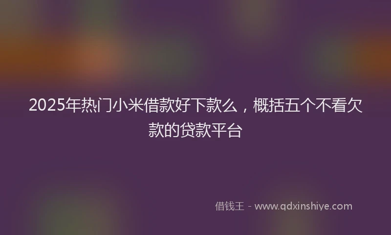 2025年热门小米借款好下款么，概括五个不看欠款的贷款平台