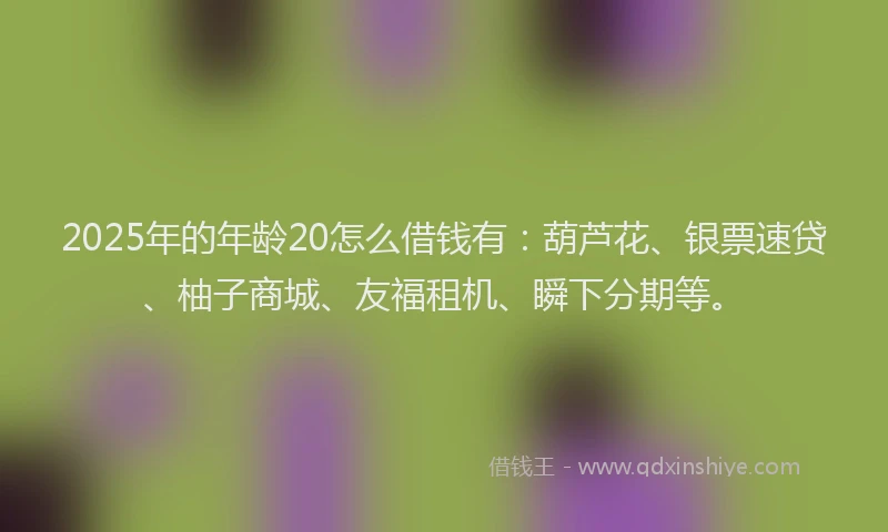 2025年的年龄20怎么借钱有：葫芦花、银票速贷、柚子商城、友福租机、瞬下分期等。