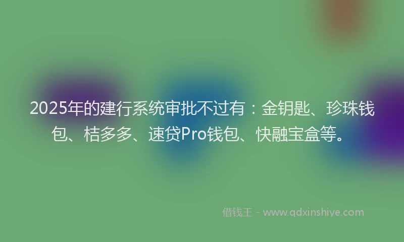 2025年的建行系统审批不过有：金钥匙、珍珠钱包、桔多多、速贷Pro钱包、快融宝盒等。