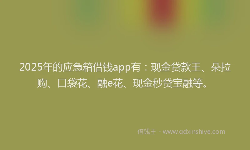 2025年的应急箱借钱app有：现金贷款王、朵拉购、口袋花、融e花、现金秒贷宝融等。