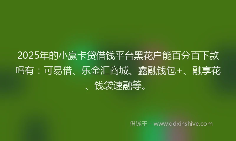 2025年的小赢卡贷借钱平台黑花户能百分百下款吗有：可易借、乐金汇商城、鑫融钱包+、融享花、钱袋速融等。