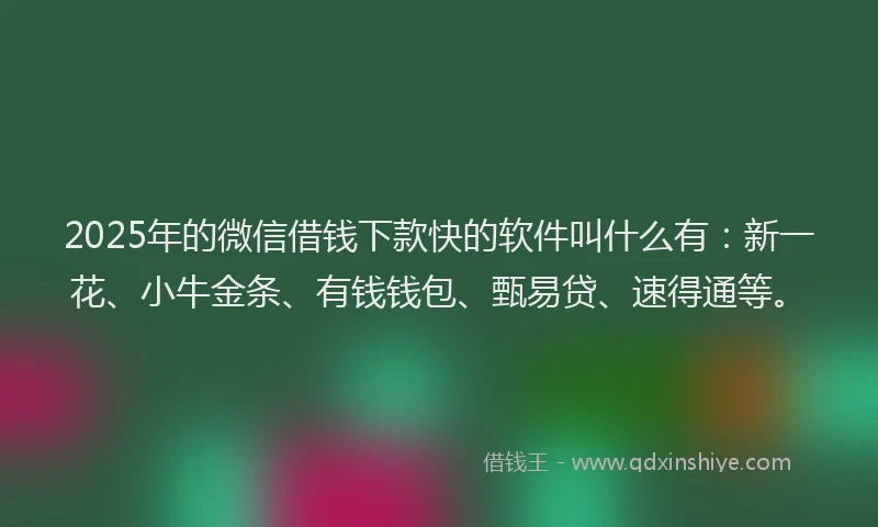 2025年的微信借钱下款快的软件叫什么有：新一花、小牛金条、有钱钱包、甄易贷、速得通等。