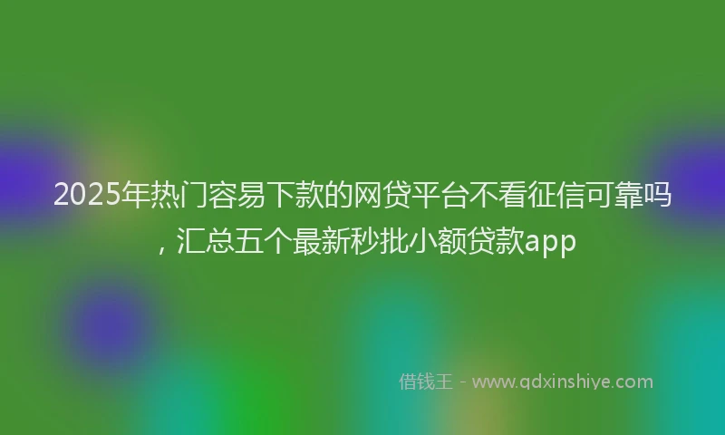 2025年热门容易下款的网贷平台不看征信可靠吗，汇总五个最新秒批小额贷款app