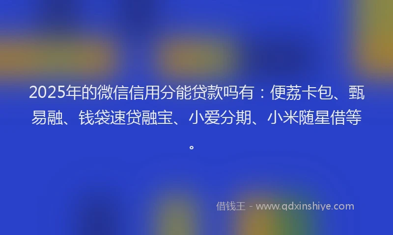 2025年的微信信用分能贷款吗有：便荔卡包、甄易融、钱袋速贷融宝、小爱分期、小米随星借等。
