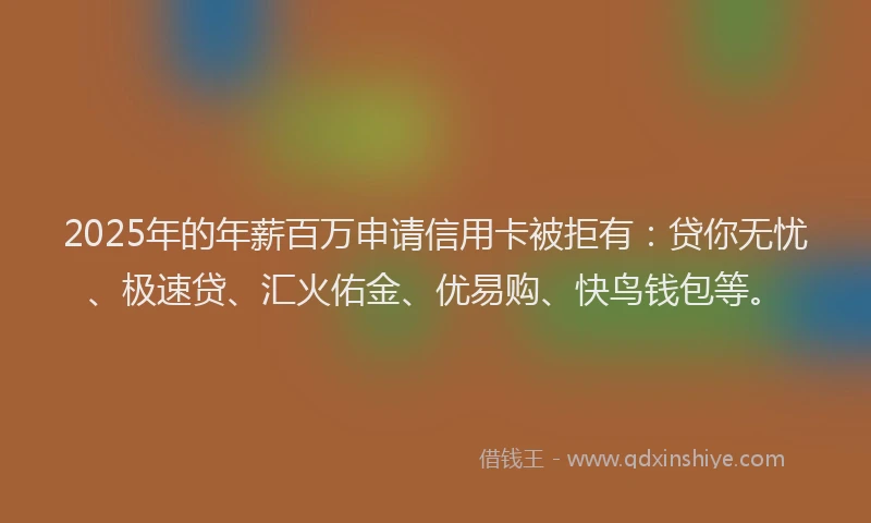 2025年的年薪百万申请信用卡被拒有：贷你无忧、极速贷、汇火佑金、优易购、快鸟钱包等。
