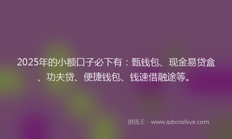 2025年的小额口子必下有：甄钱包、现金易贷盒、功夫贷、便捷钱包、钱速借融途等。