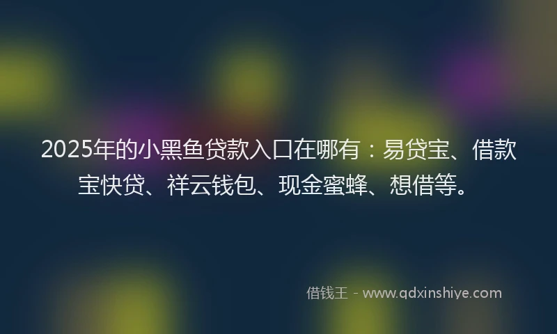 2025年的小黑鱼贷款入口在哪有：易贷宝、借款宝快贷、祥云钱包、现金蜜蜂、想借等。