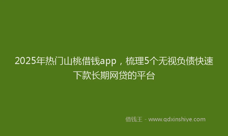 2025年热门山桃借钱app，梳理5个无视负债快速下款长期网贷的平台
