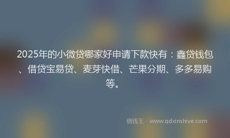 2025年的小微贷哪家好申请下款快有：鑫贷钱包、借贷宝易贷、麦芽快借、芒果分期、多多易购等。