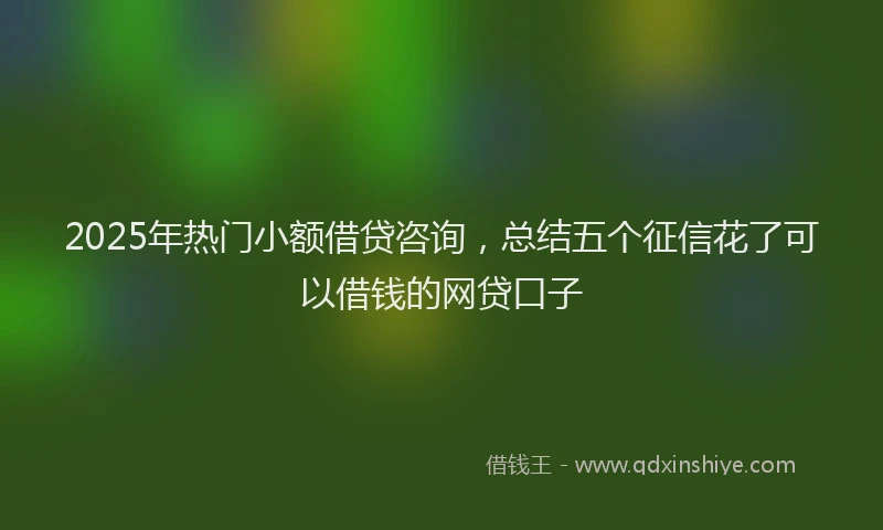 2025年热门小额借贷咨询，总结五个征信花了可以借钱的网贷口子