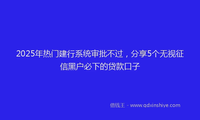 2025年热门建行系统审批不过，分享5个无视征信黑户必下的贷款口子