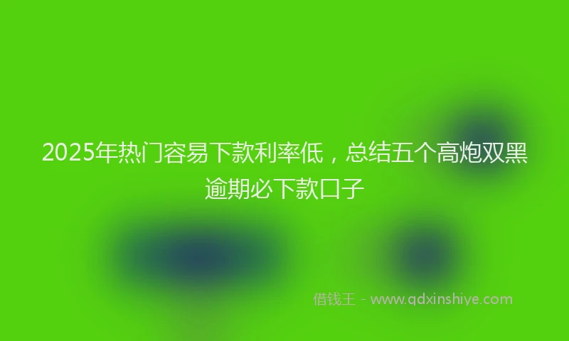 2025年热门容易下款利率低，总结五个高炮双黑逾期必下款口子