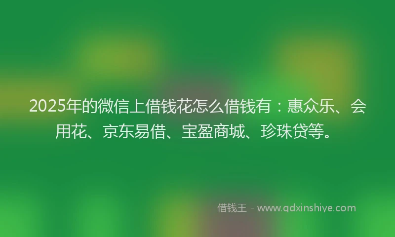2025年的微信上借钱花怎么借钱有：惠众乐、会用花、京东易借、宝盈商城、珍珠贷等。