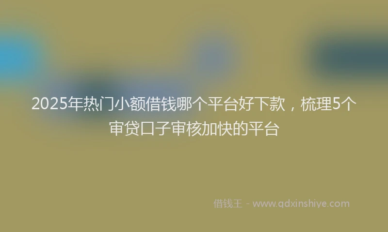 2025年热门小额借钱哪个平台好下款，梳理5个审贷口子审核加快的平台